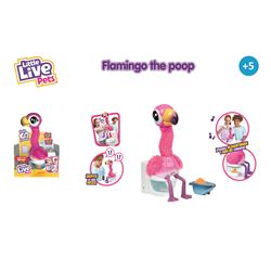 Little live flamingo the poop - 13010340