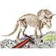 Arqueojugando triceratops fluorescente - 06655031.2