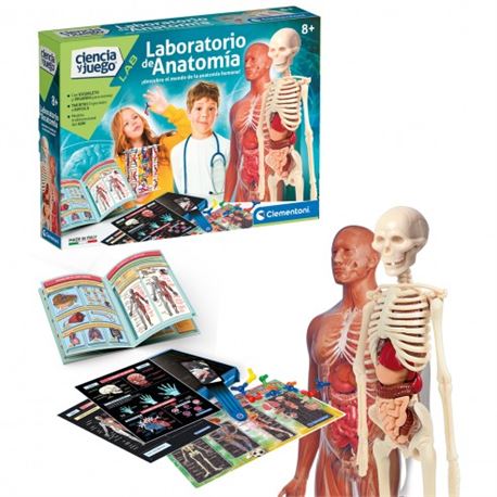 Laboratorio de anatomia - 06655485