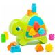Tortuga actividades con sonidos - 26524501