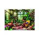 Puzzle 1000 pz. the greenhouse library - 06639936.2