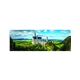 Puzzle 1000 pz panorama the neuschwanstein - 06639940.2