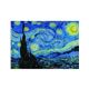 Puzzle 1000 pz. museum the starry night - 06637065.2