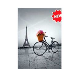 Puz.500 pc.romantic promenade in paris - 06635014