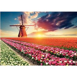 Puz 1500 paisaje de tulipanes - 04018465